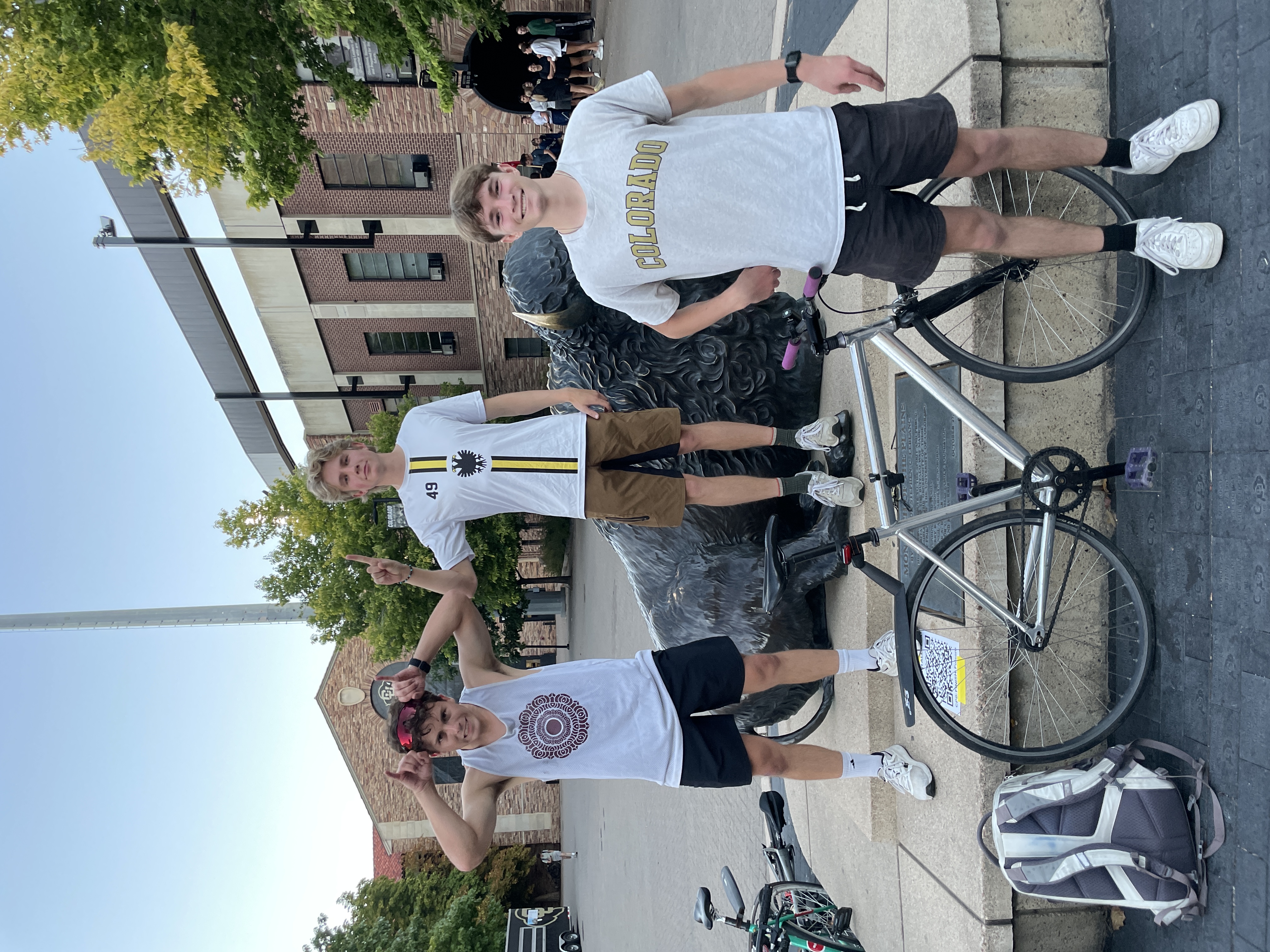 Standard Leaderboard